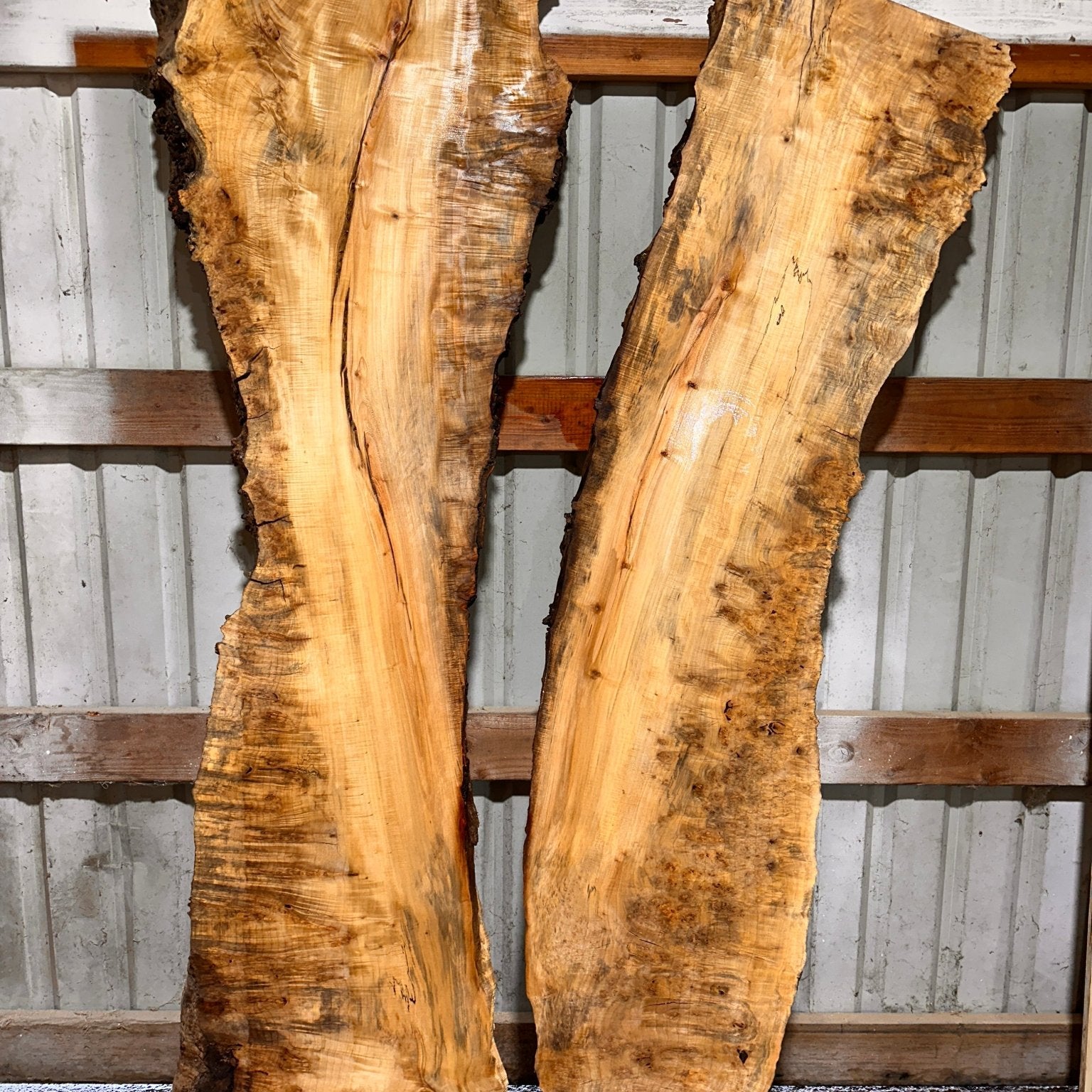 LiveEdge Silver Maple | Silver Maple | Hamilton Lee Supply