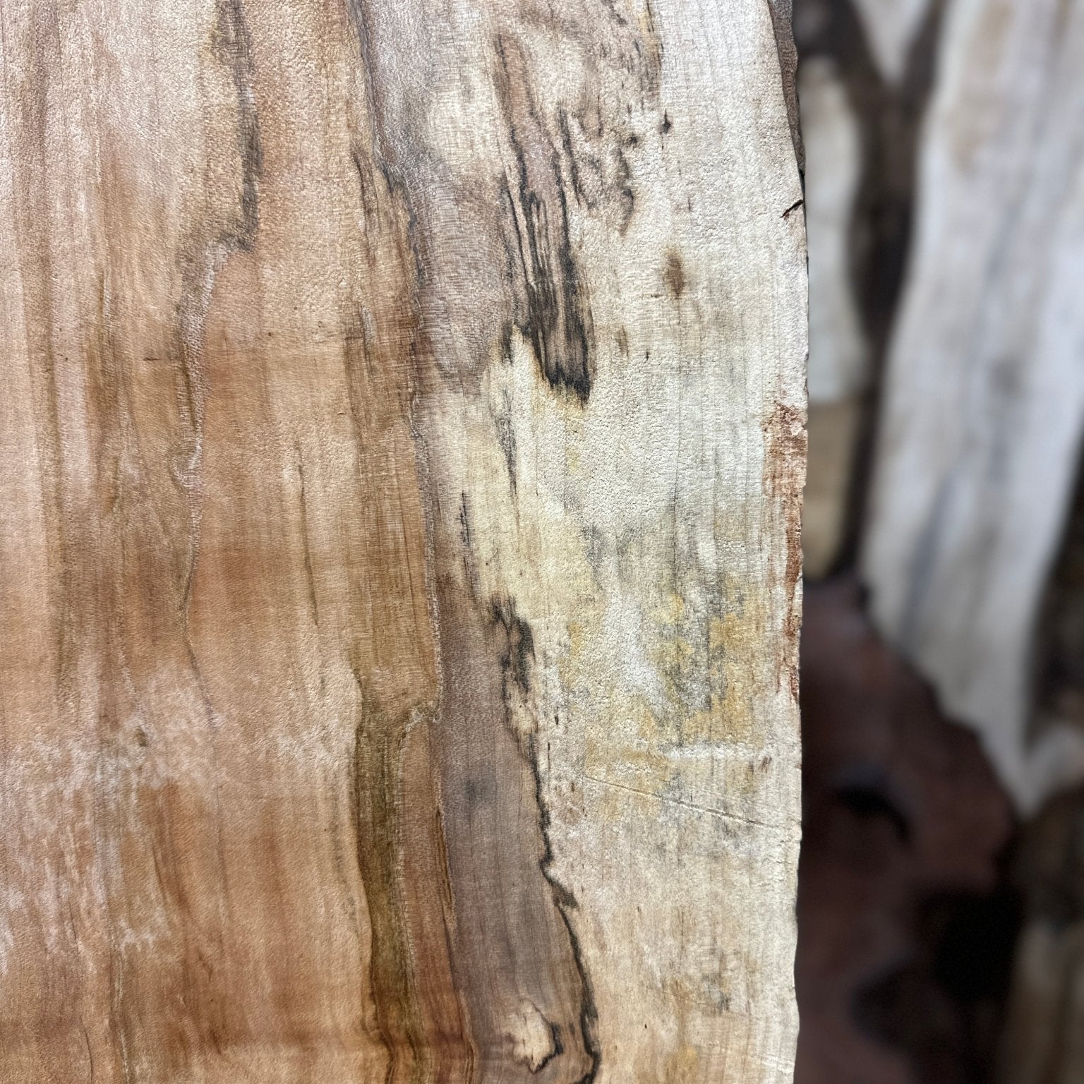 LiveEdge Silver Maple | Silver Maple | Hamilton Lee Supply