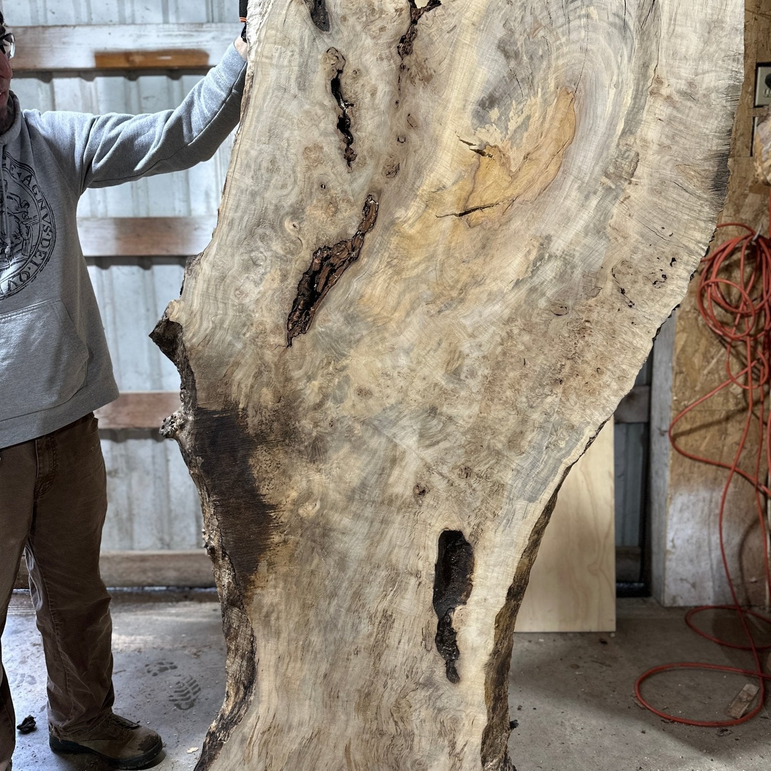 LiveEdge Silver Maple | Silver Maple | Hamilton Lee Supply