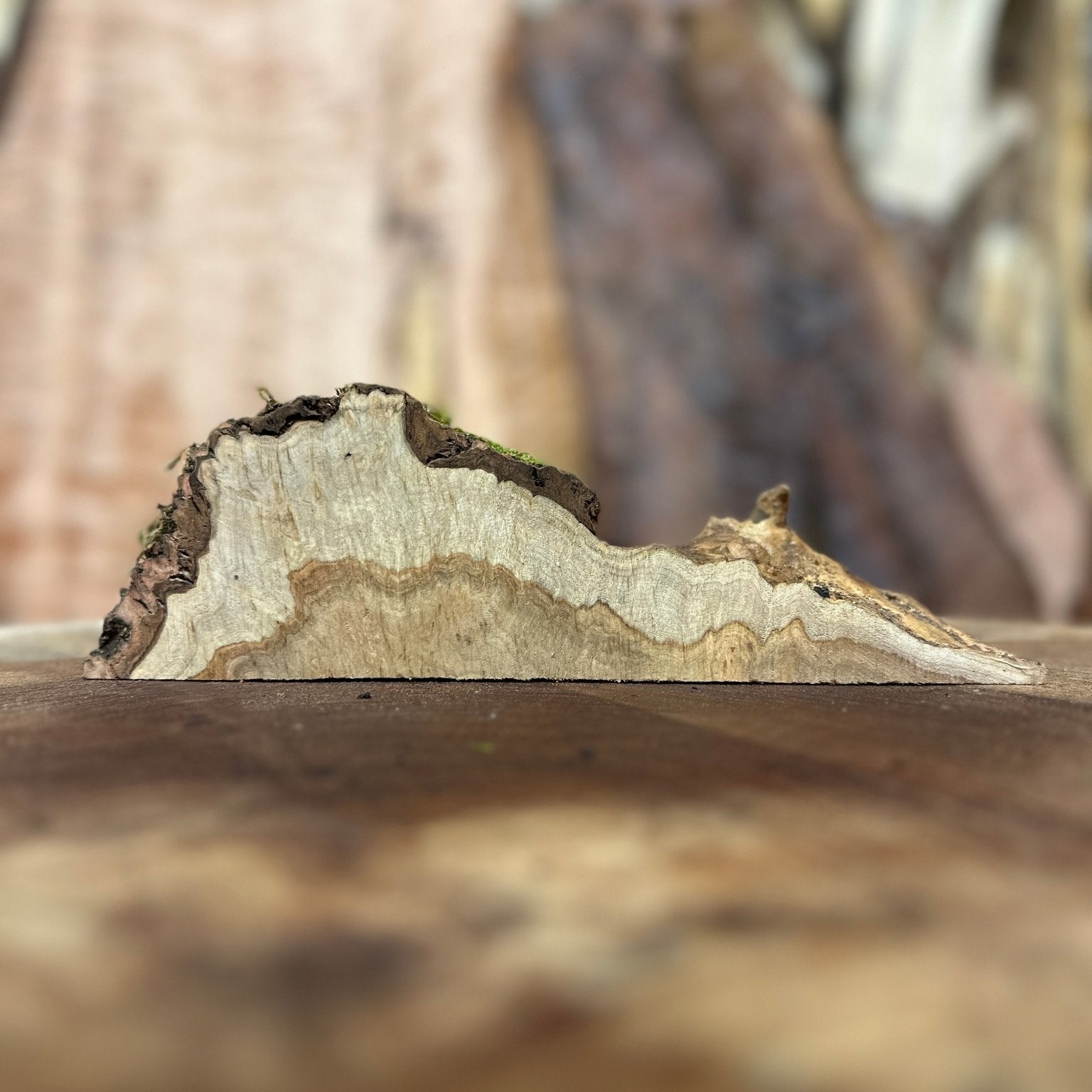 LiveEdge Silver Maple | Silver Maple | Hamilton Lee Supply