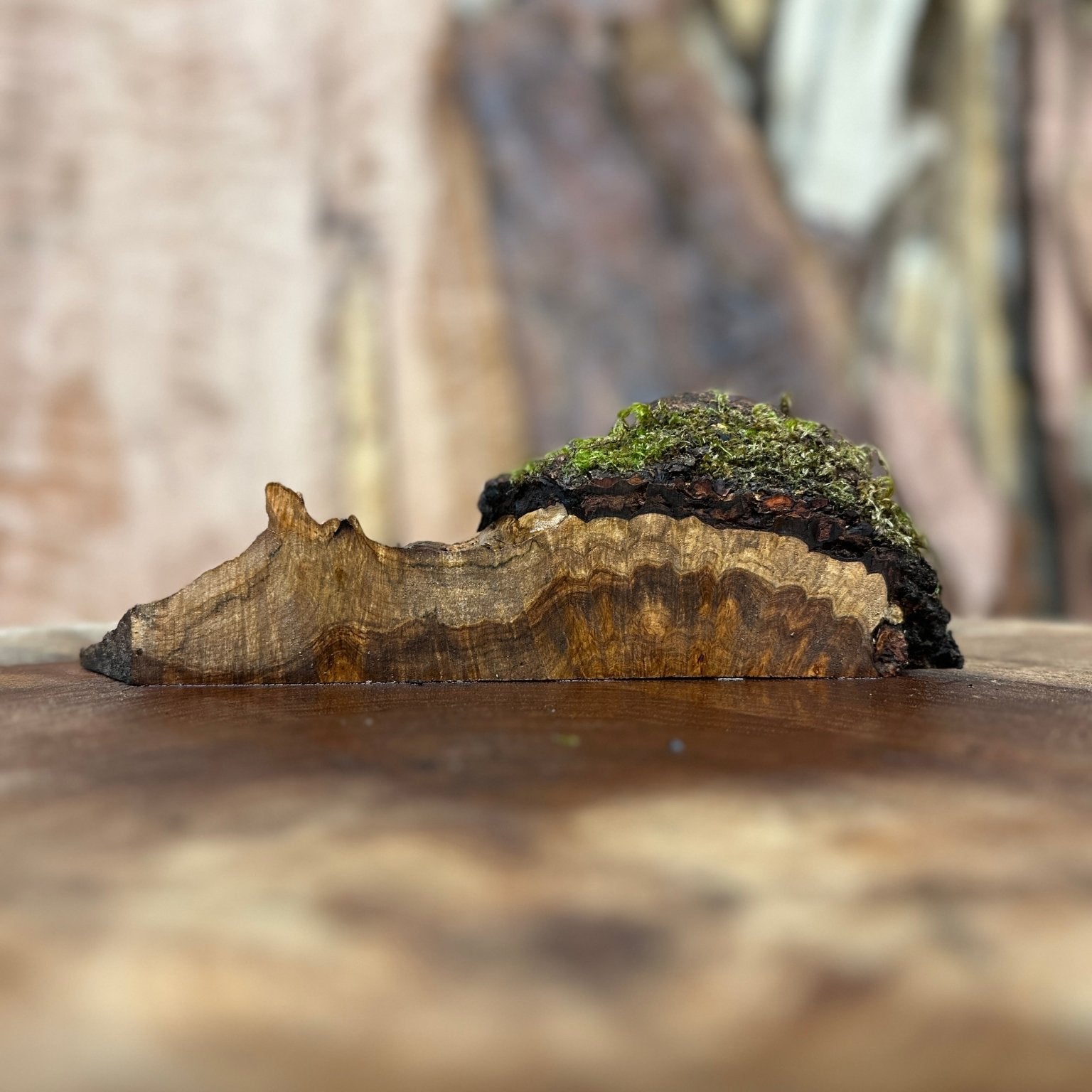 LiveEdge Silver Maple | Silver Maple | Hamilton Lee Supply