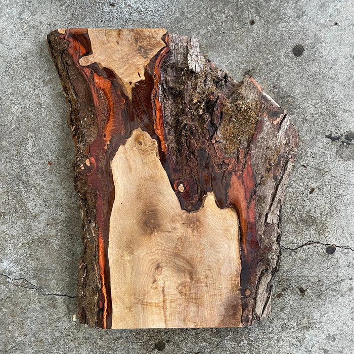 Double Diamond - LiveEdge Silver MapleCharcuterie Stock - Hamilton Lee Supply