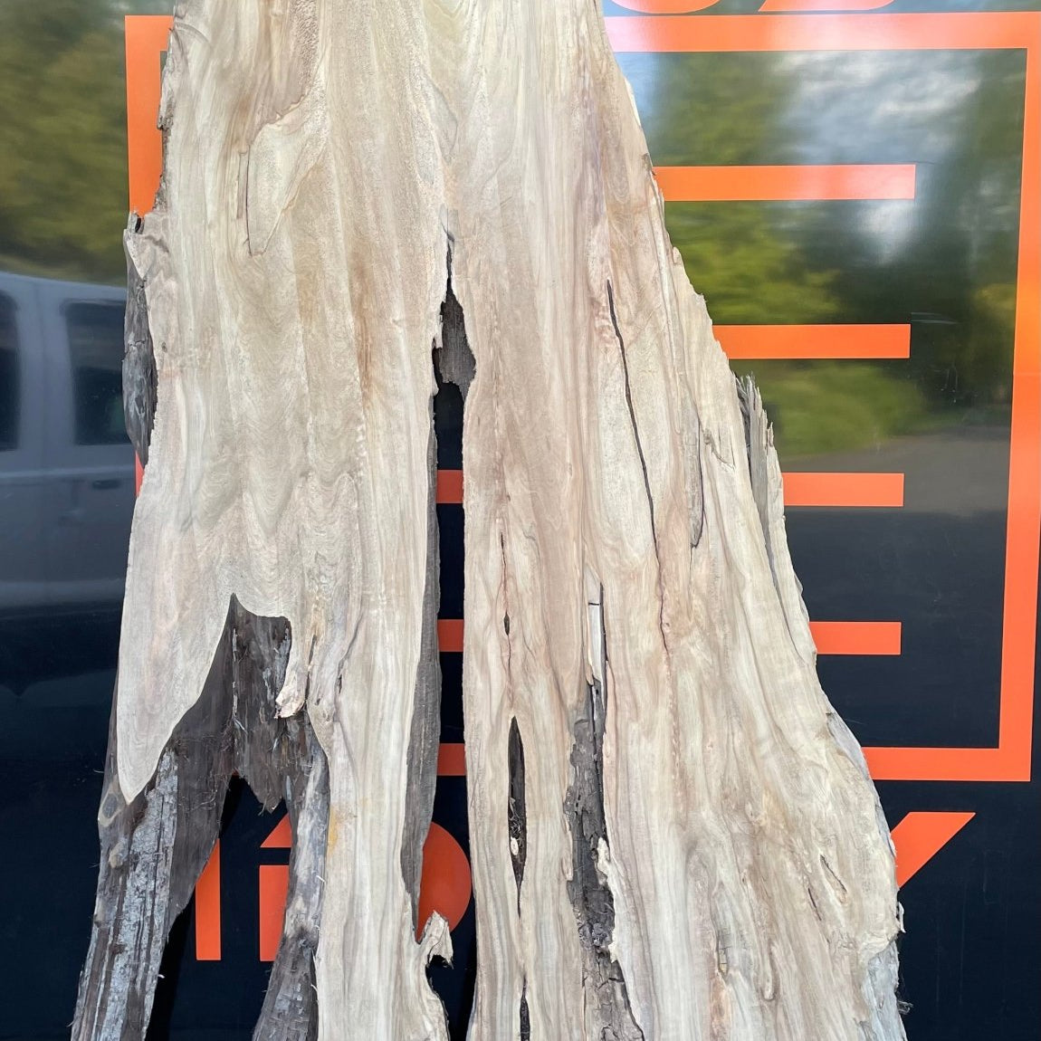 LiveEdge Sinker Cypress Rootball Cut | Sinker Cypress | Hamilton Lee Supply