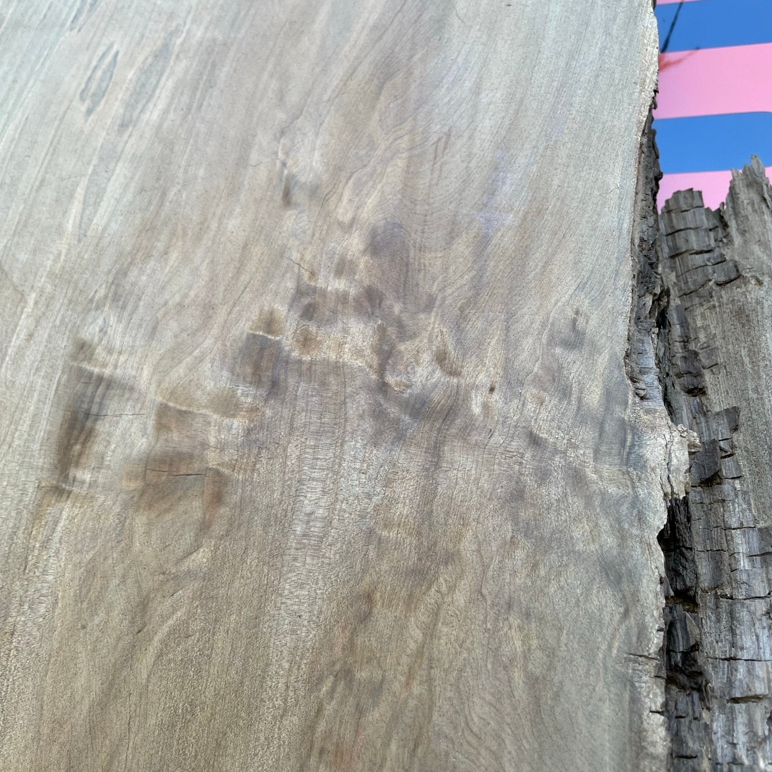 LiveEdge Sinker Cypress Rootball Cut | Sinker Cypress | Hamilton Lee Supply