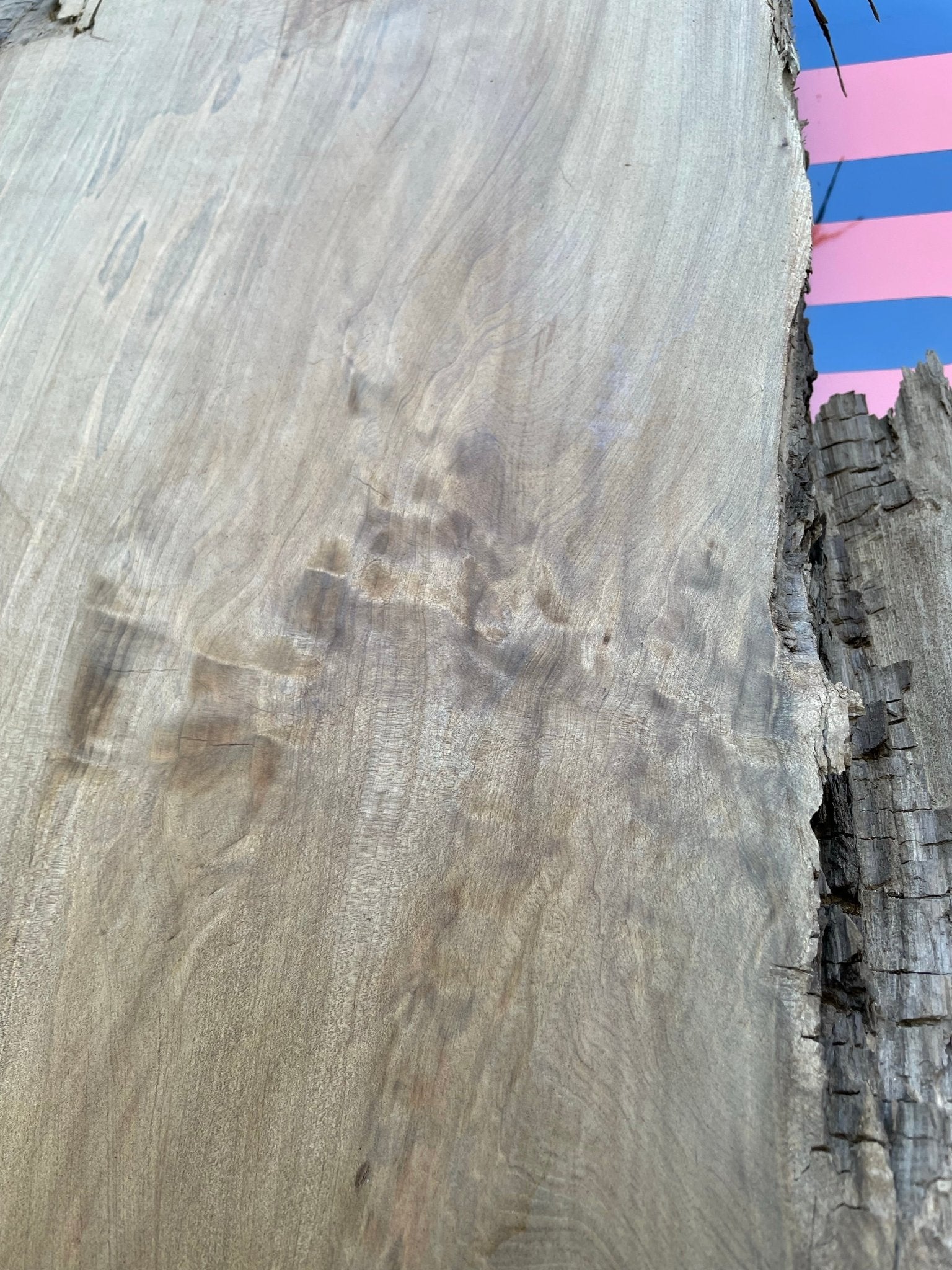 LiveEdge Sinker Cypress Rootball Cut | Sinker Cypress | Hamilton Lee Supply