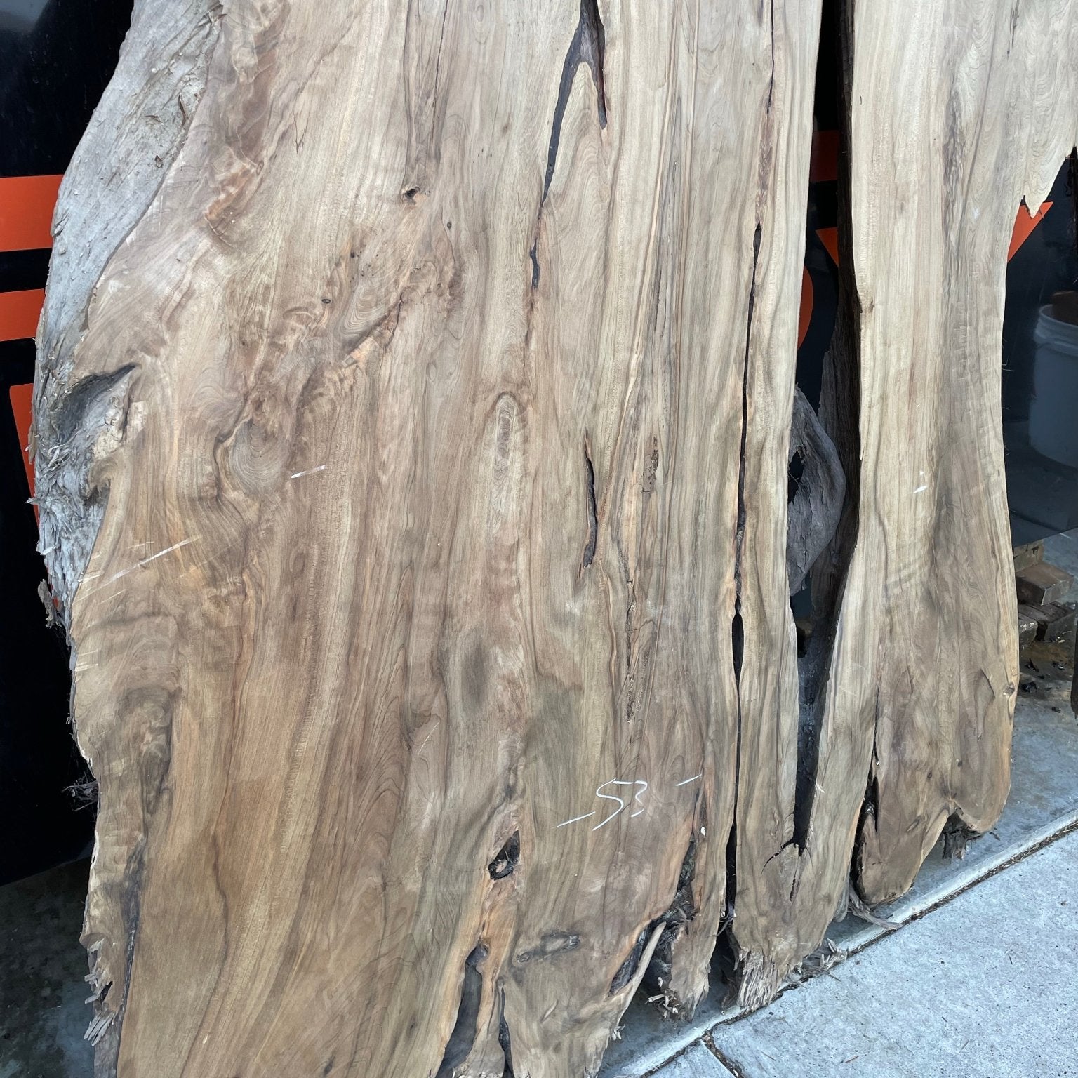 LiveEdge Sinker Cypress Rootball Cut | Sinker Cypress | Hamilton Lee Supply