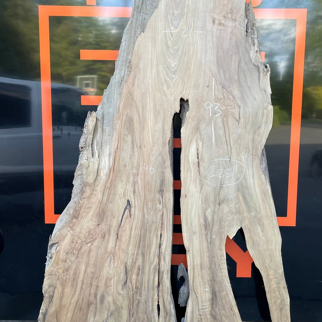 LiveEdge Sinker Cypress Rootball Cut | Sinker Cypress | Hamilton Lee Supply