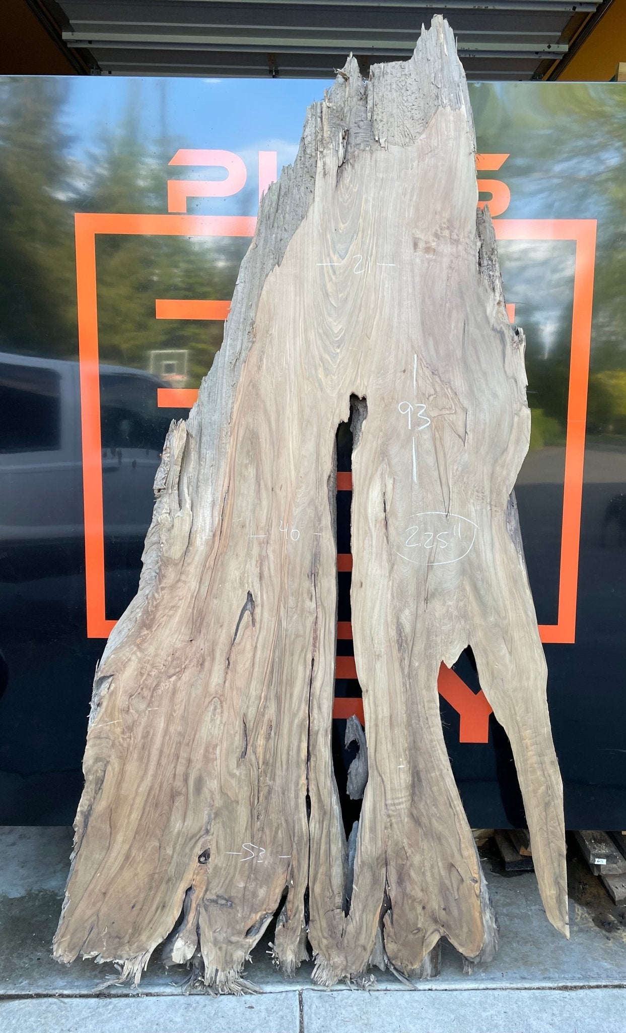 LiveEdge Sinker Cypress Rootball Cut | Sinker Cypress | Hamilton Lee Supply