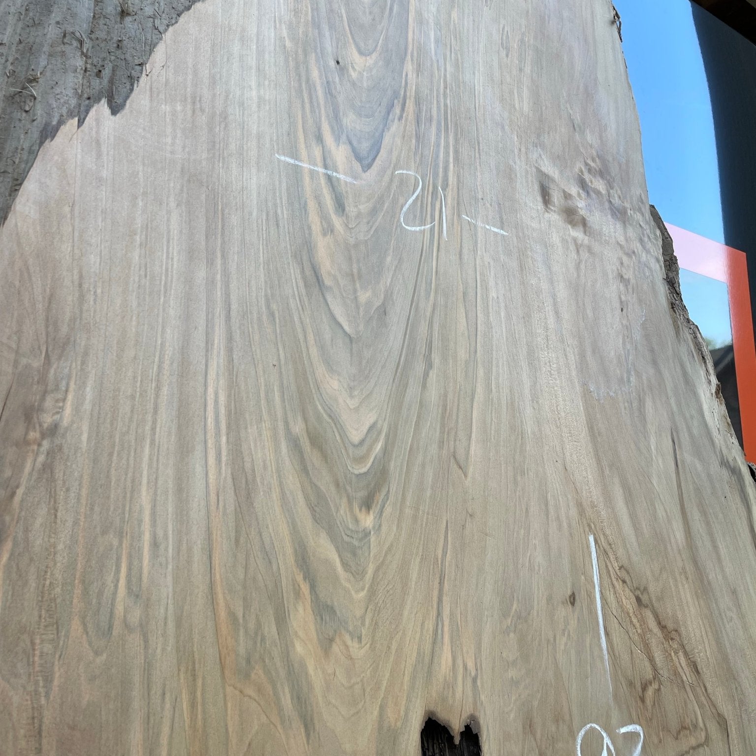 LiveEdge Sinker Cypress Rootball Cut | Sinker Cypress | Hamilton Lee Supply