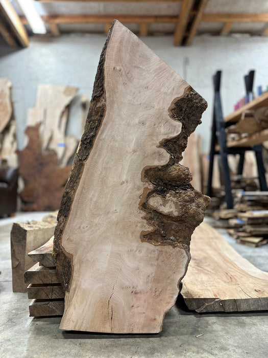 Double Diamond | LiveEdge Sycamore | Sycamore | Hamilton Lee Supply