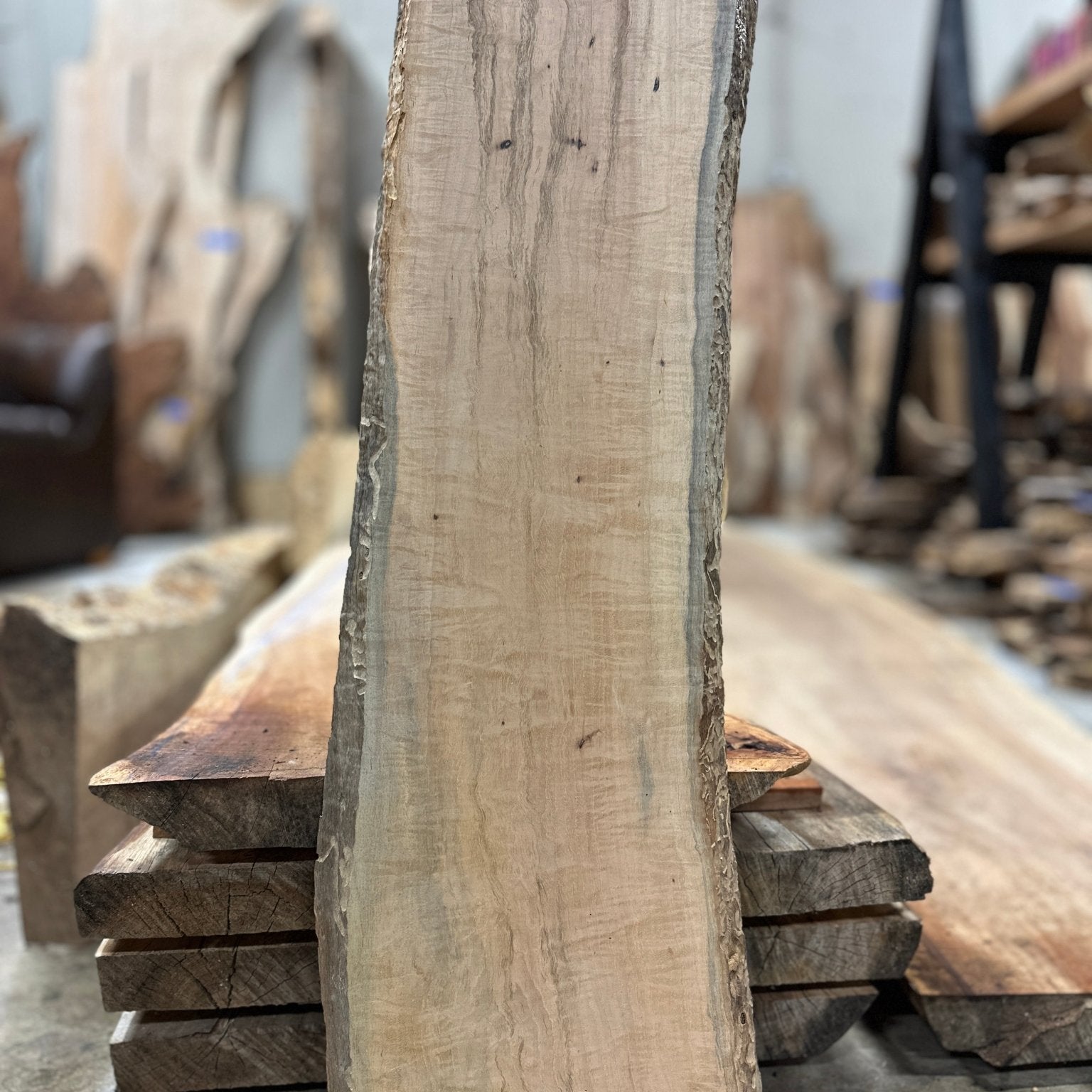 LiveEdge Texas Pecan | Craft Wood & Shapes | Hamilton Lee Supply