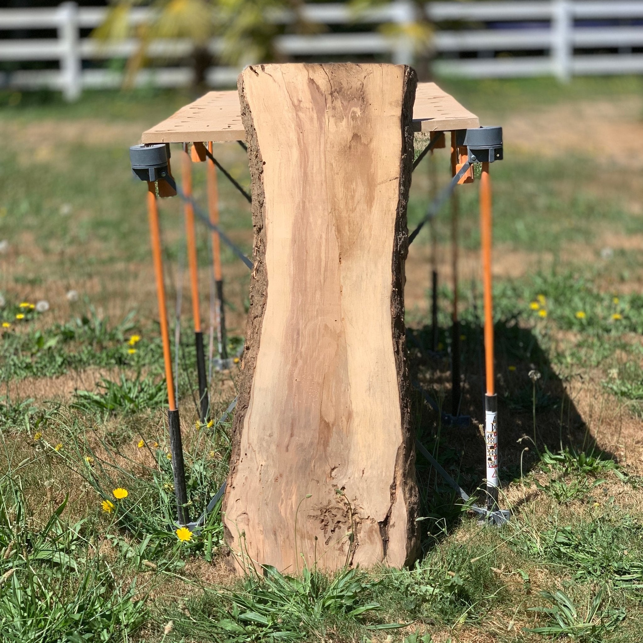 LiveEdge Washington Apple | Craft Wood & Shapes | Hamilton Lee Supply