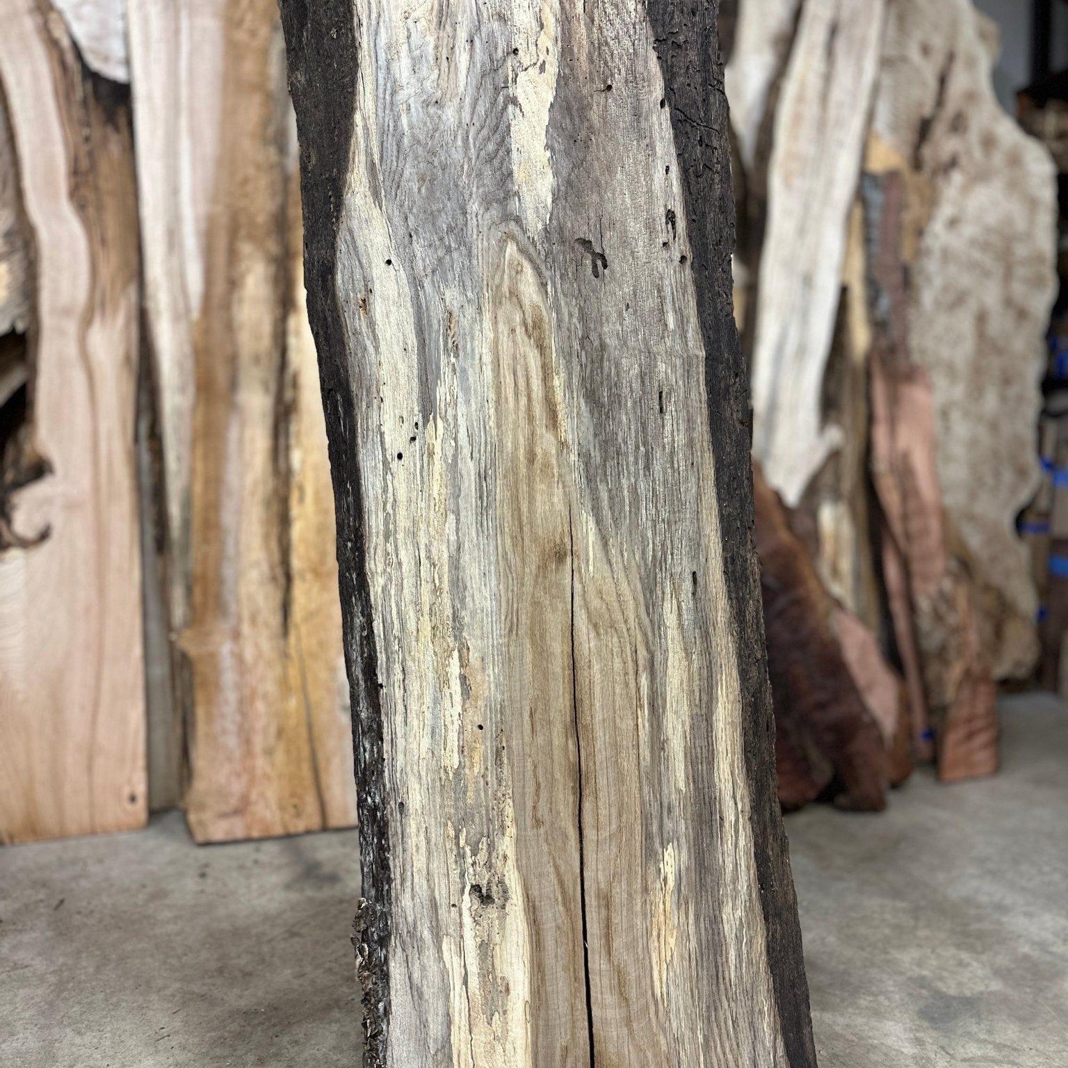 LiveEdge White Oak | White Oak | Hamilton Lee Supply
