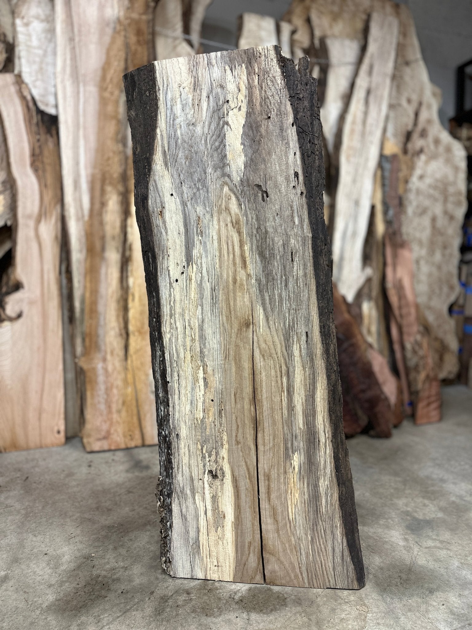 LiveEdge White Oak | White Oak | Hamilton Lee Supply