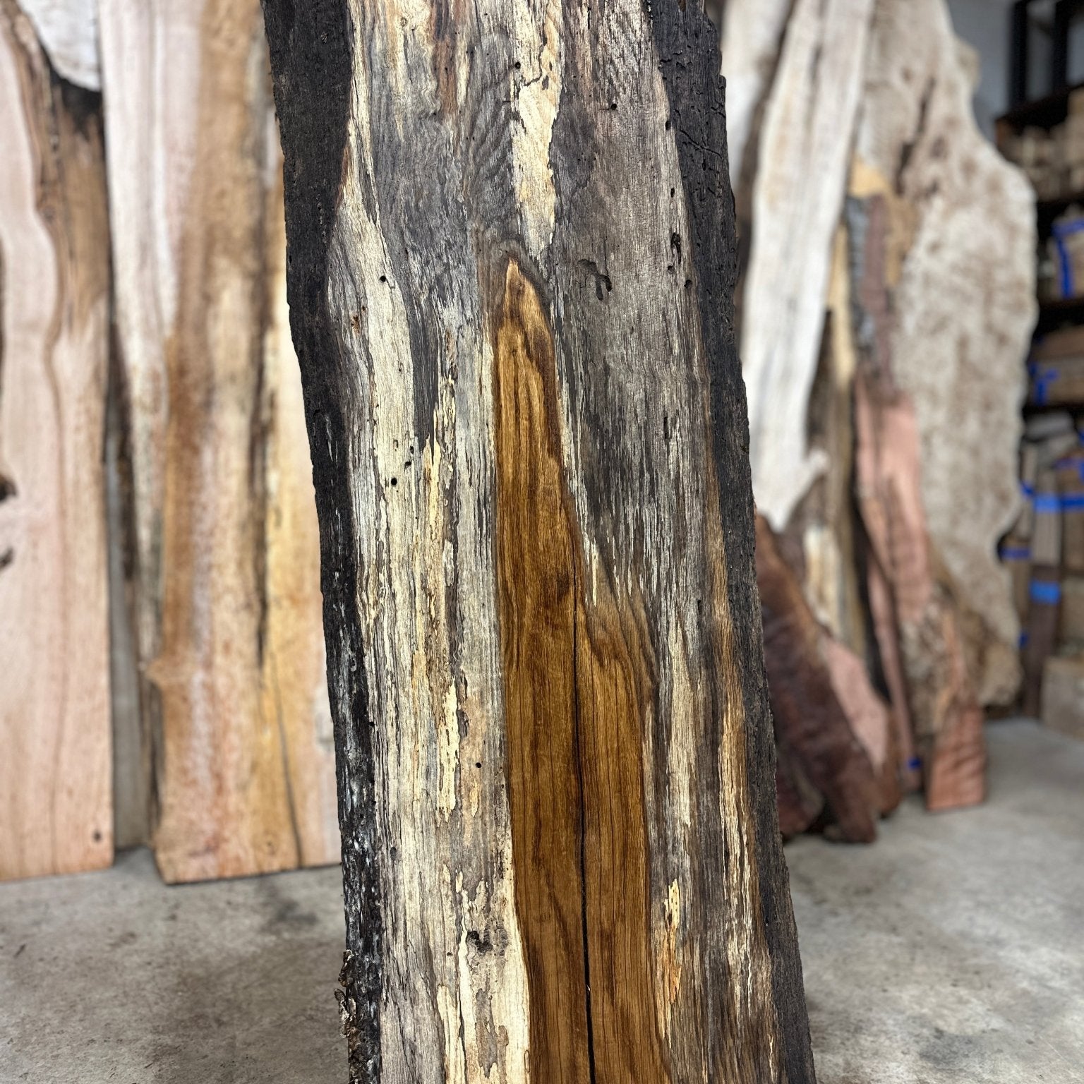 LiveEdge White Oak | White Oak | Hamilton Lee Supply