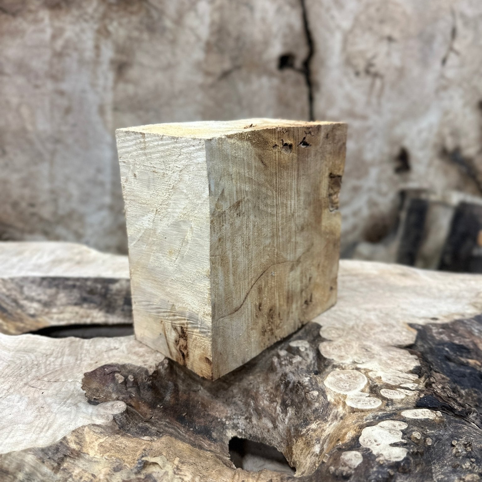 Mappa Burl Blank | Mappa Burl | Hamilton Lee Supply
