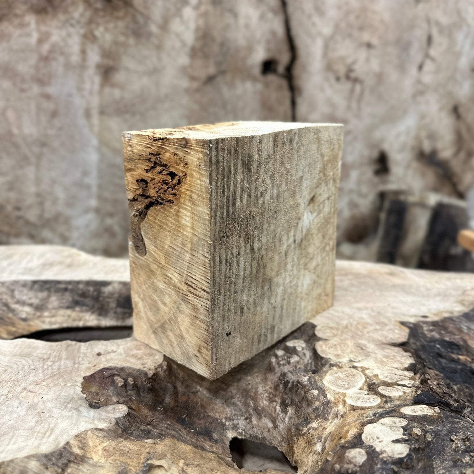 Mappa Burl Blank | Mappa Burl | Hamilton Lee Supply