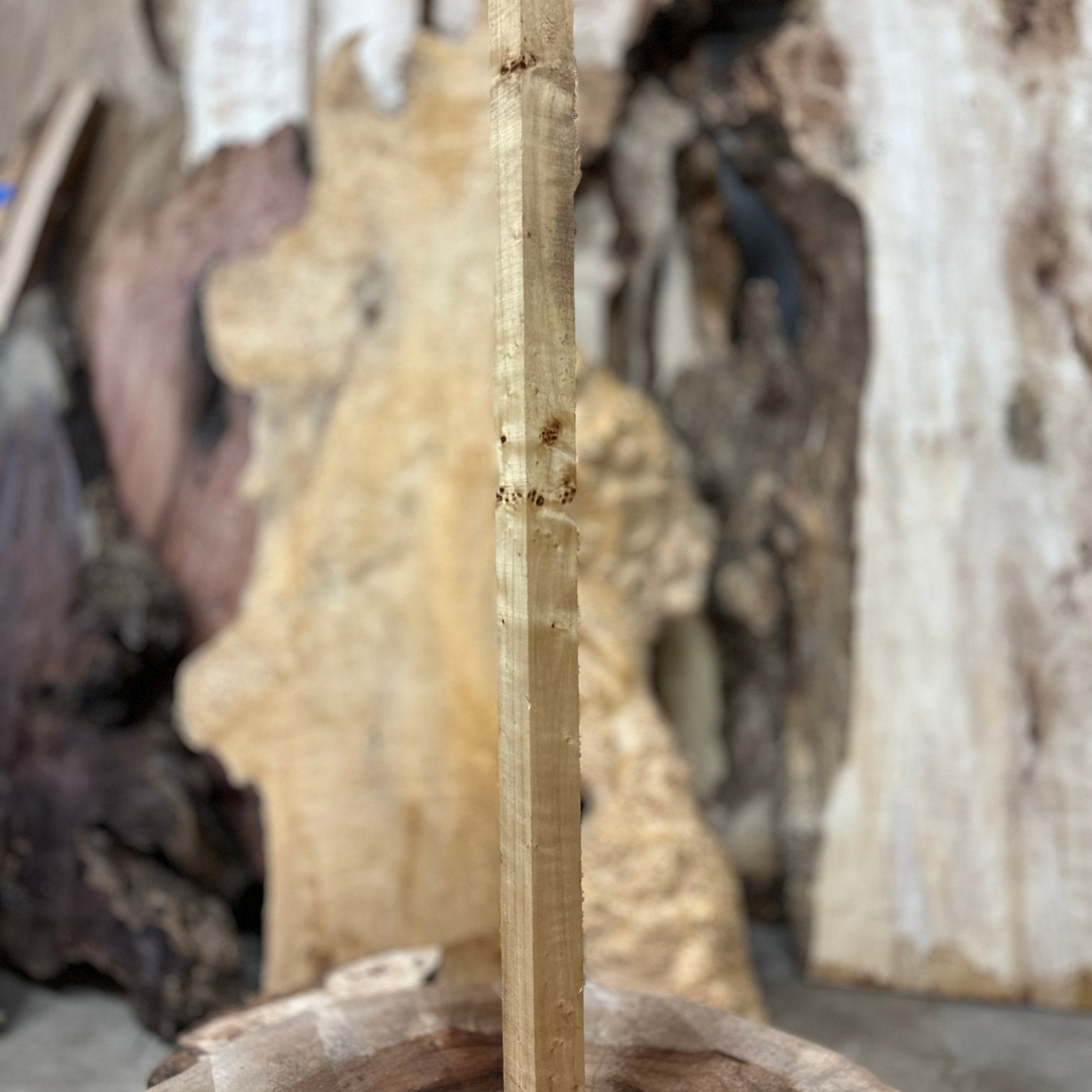 Mappa Burl Blank | Mappa Burl | Hamilton Lee Supply