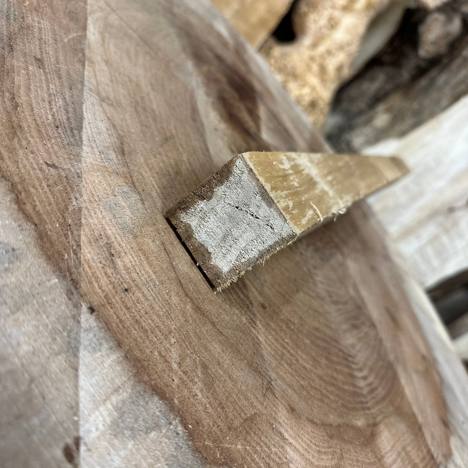 Mappa Burl Blank | Mappa Burl | Hamilton Lee Supply