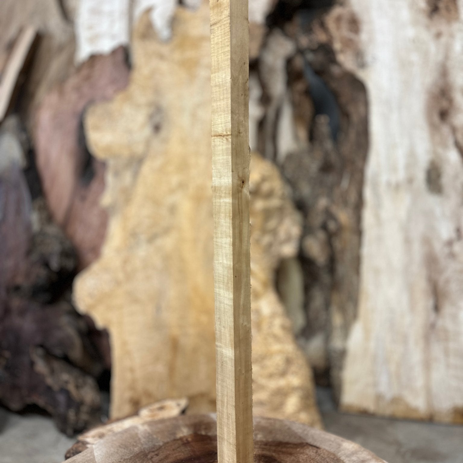 Mappa Burl Blank | Mappa Burl | Hamilton Lee Supply