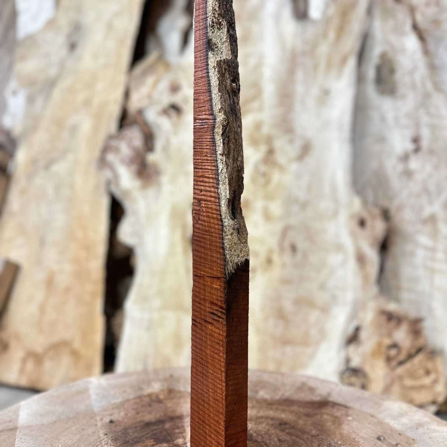 Mesquite Blank | Mesquite | Hamilton Lee Supply