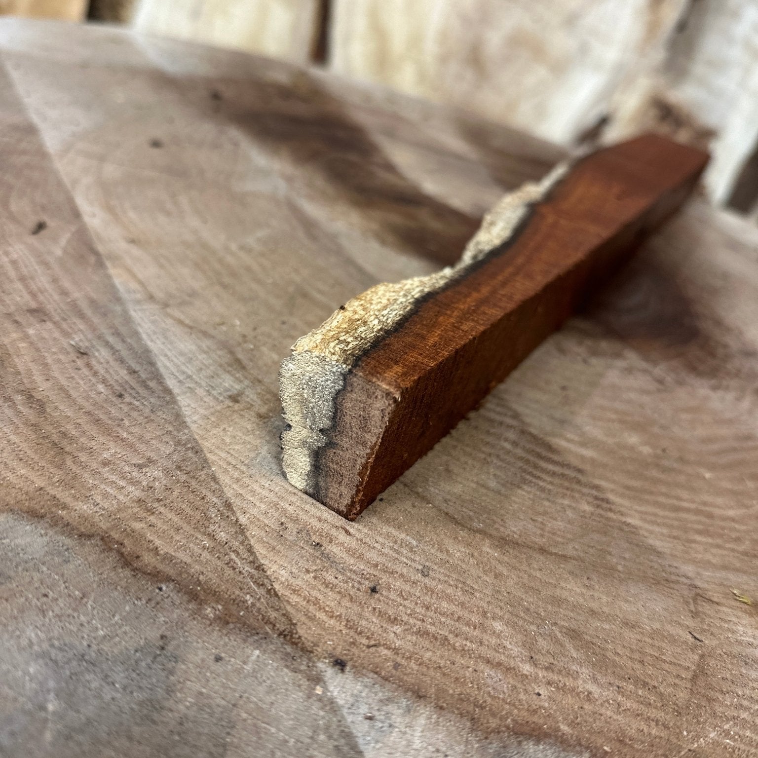 Mesquite Blank | Mesquite | Hamilton Lee Supply