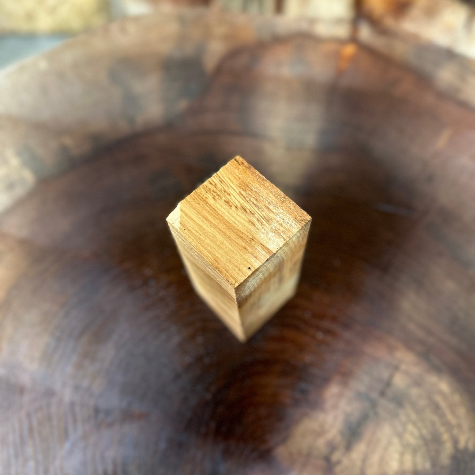 Norway Maple Call Blank | Norway Maple | Hamilton Lee Supply