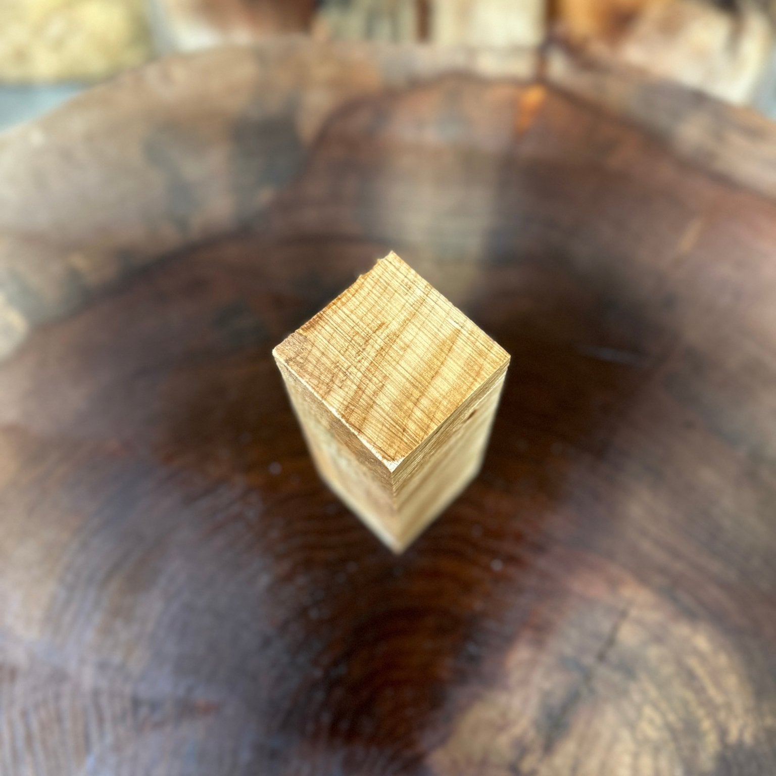 Norway Maple Call Blank | Norway Maple | Hamilton Lee Supply