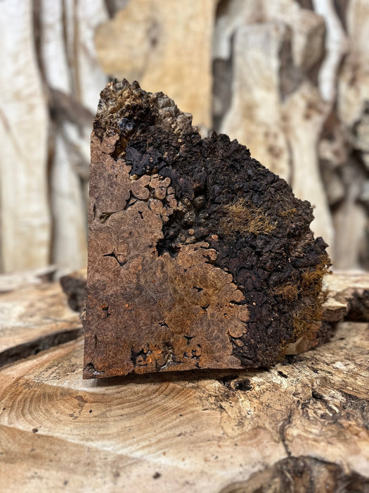 RedFalcon | LiveEdge Big Leaf Maple | Big Leaf Maple | Hamilton Lee Supply