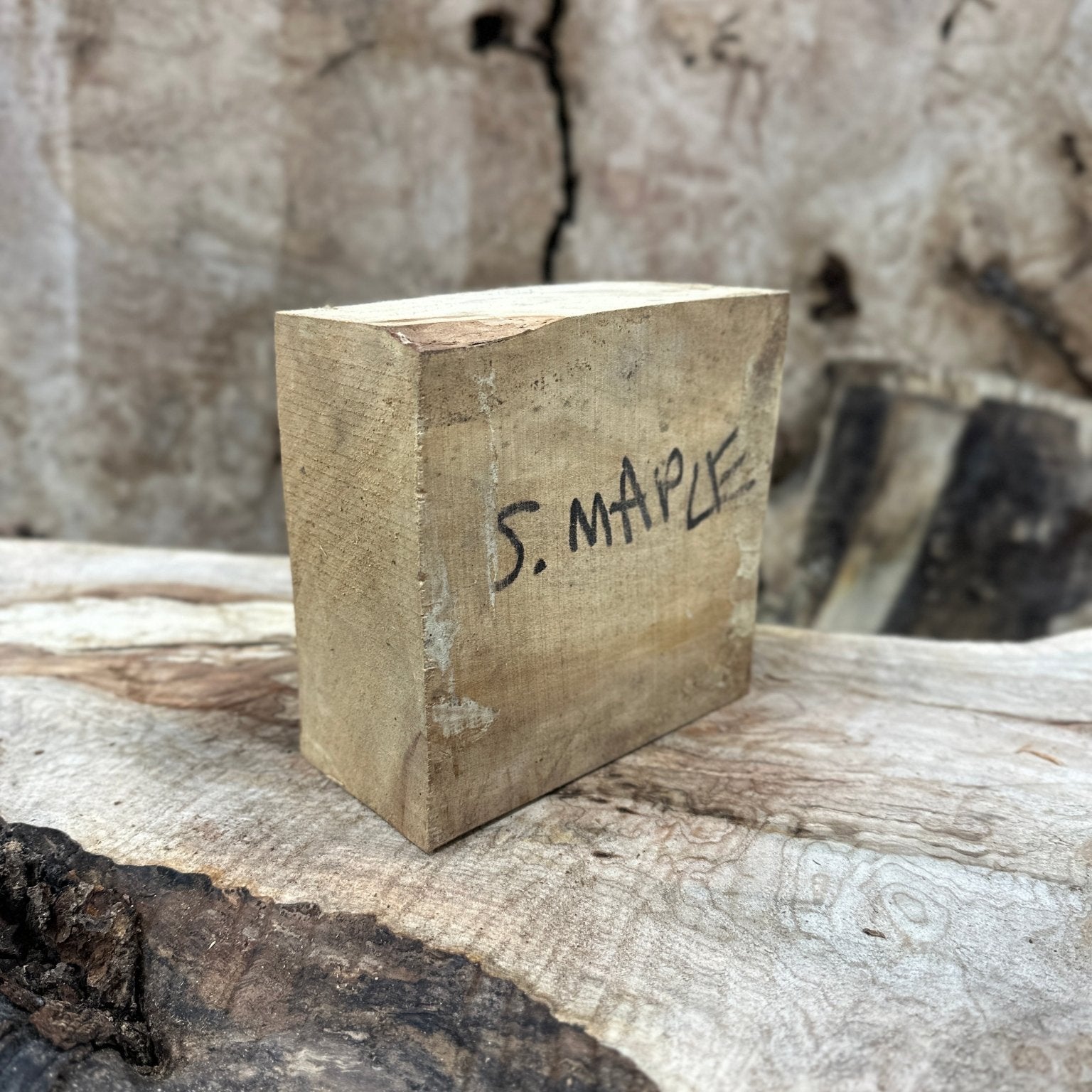 Silver Maple Blank | Silver Maple | Hamilton Lee Supply