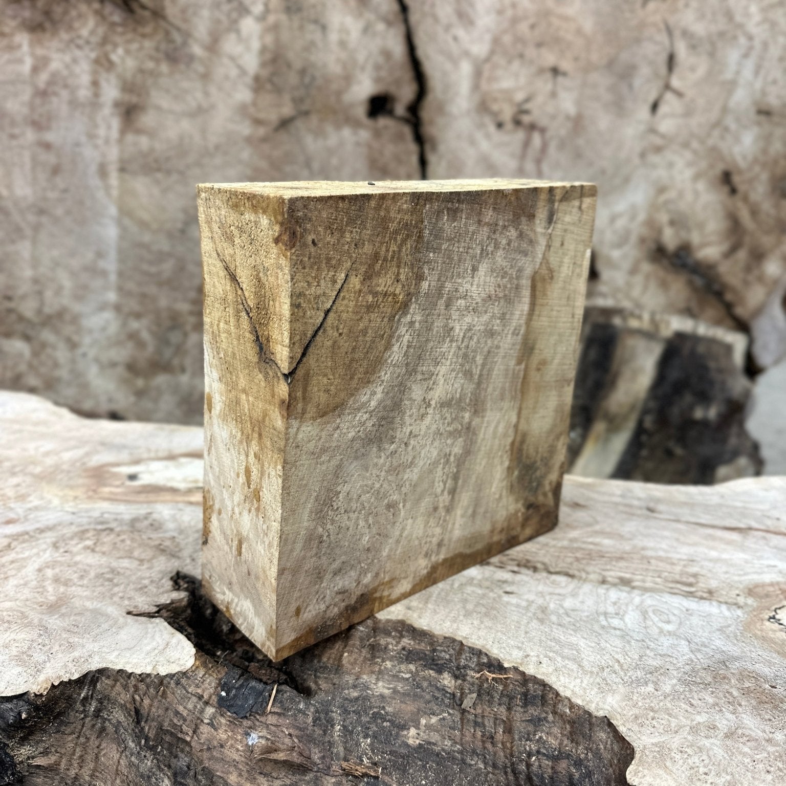 Silver Maple Blank | Silver Maple | Hamilton Lee Supply
