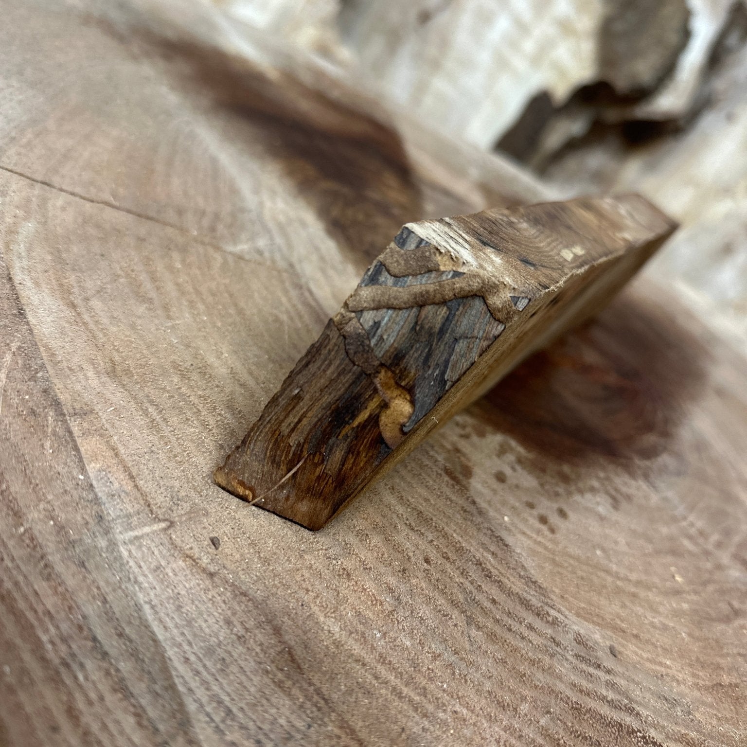 Silver Maple Blank | Silver Maple | Hamilton Lee Supply