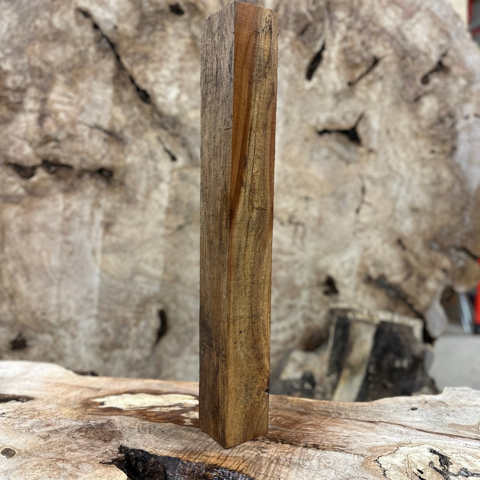 Silver Maple Mill Blank | Silver Maple | Hamilton Lee Supply