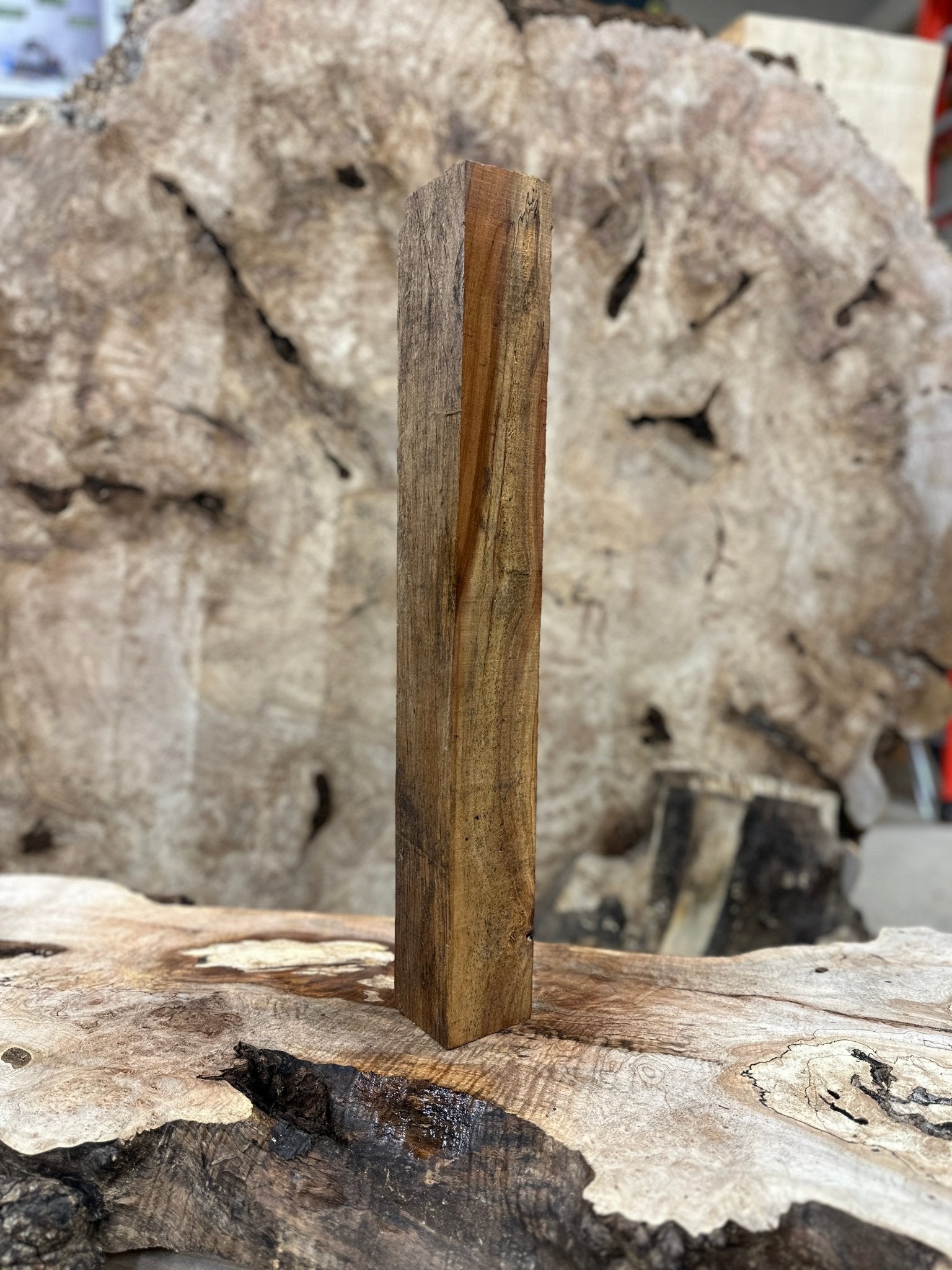 Silver Maple Mill Blank | Silver Maple | Hamilton Lee Supply
