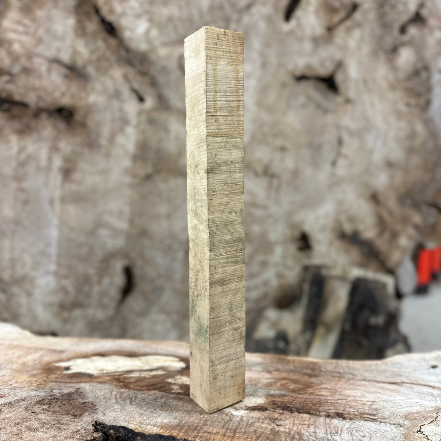 Silver Maple Spindle Blank | Silver Maple | Hamilton Lee Supply