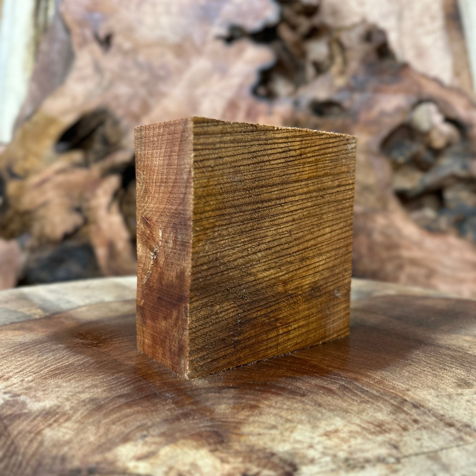 Sycamore Blank | Sycamore | Double Diamond