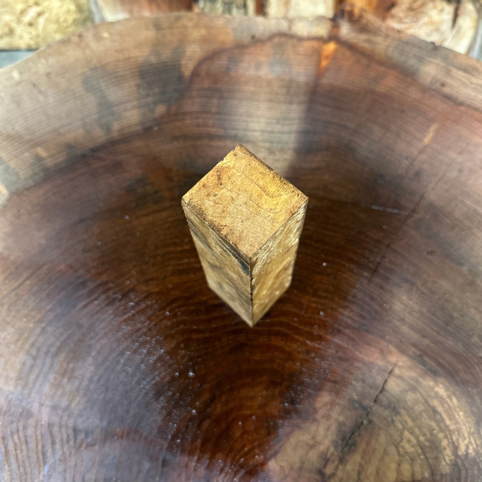 Sycamore Call Blank | Sycamore | Hamilton Lee Supply