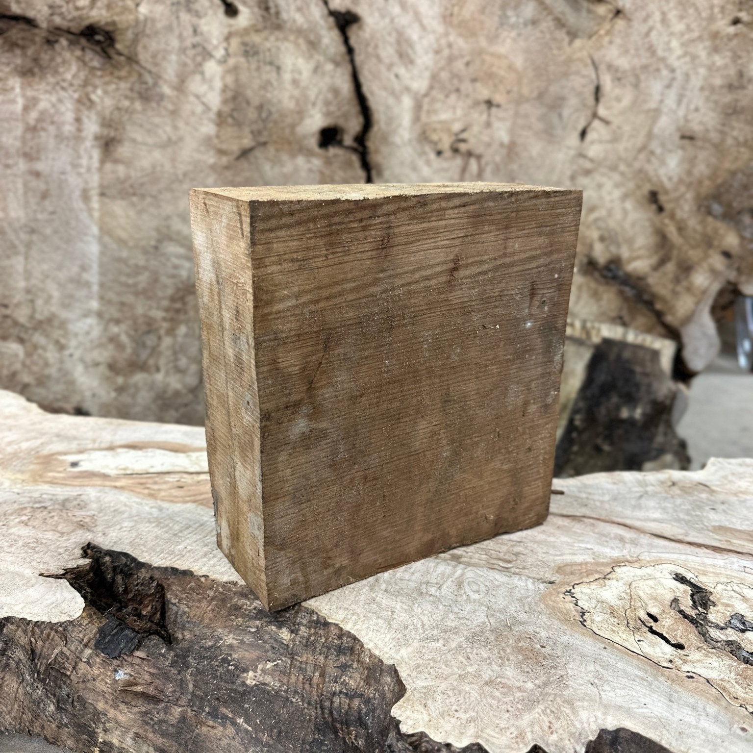 Willow Blank | Willow | Hamilton Lee Supply