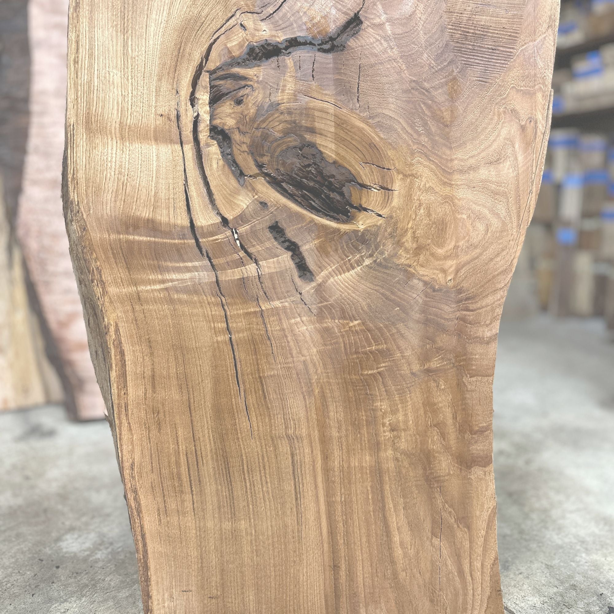 American Chestnut - Hamilton Lee Supply