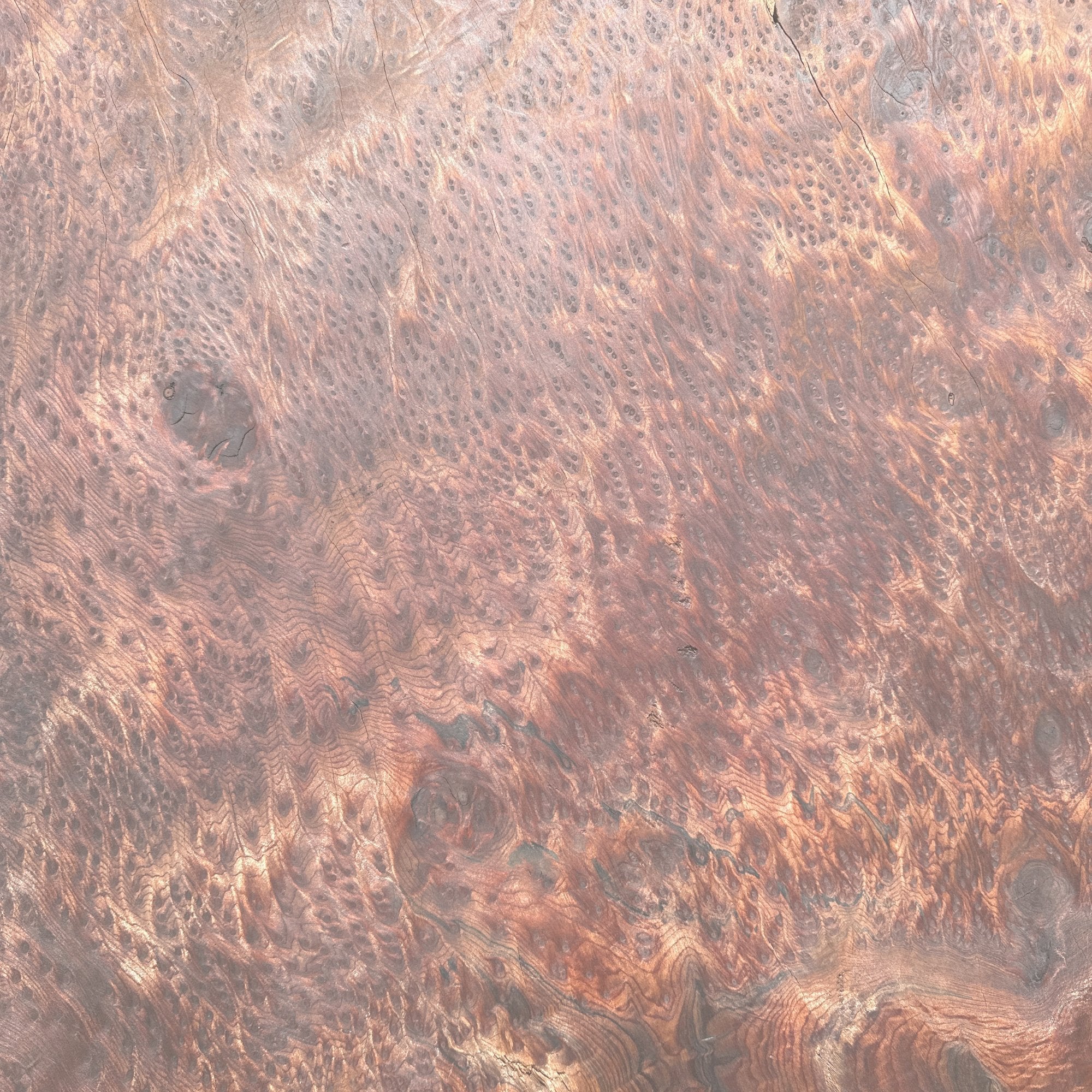 Ancient California Redwood - Hamilton Lee Supply