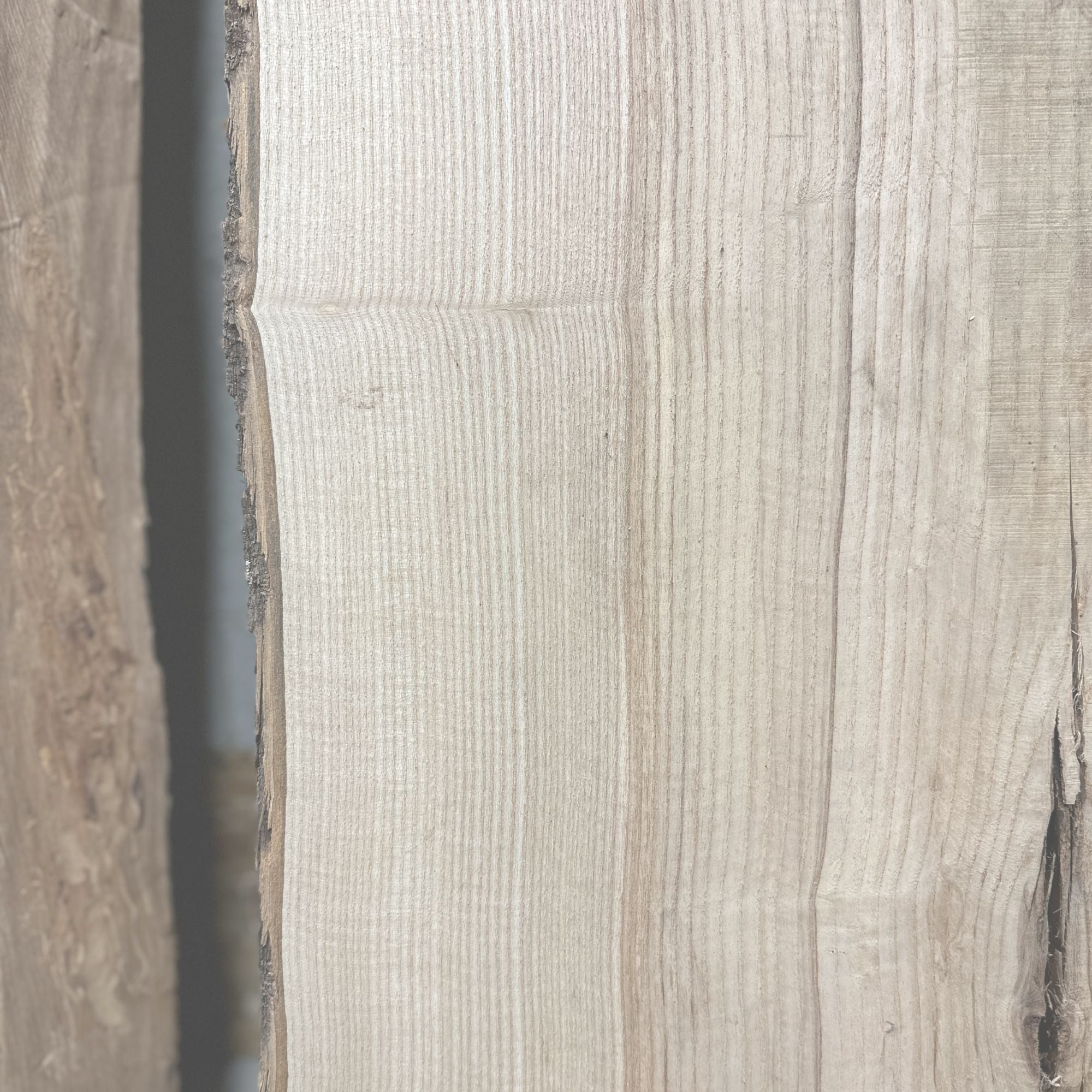 Ash - Hamilton Lee Supply