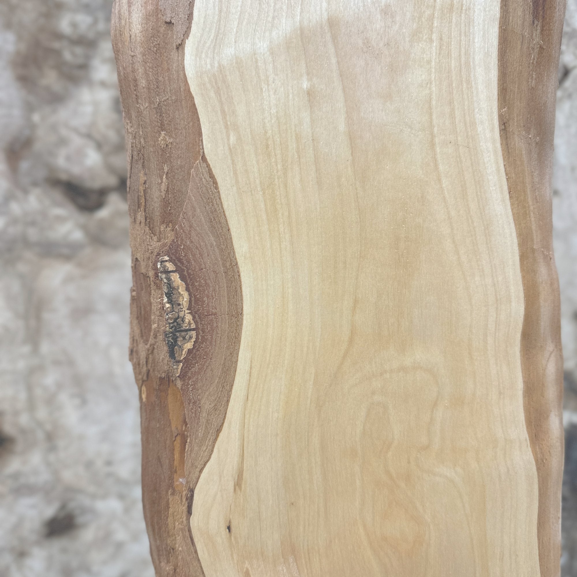 Birch - Hamilton Lee Supply