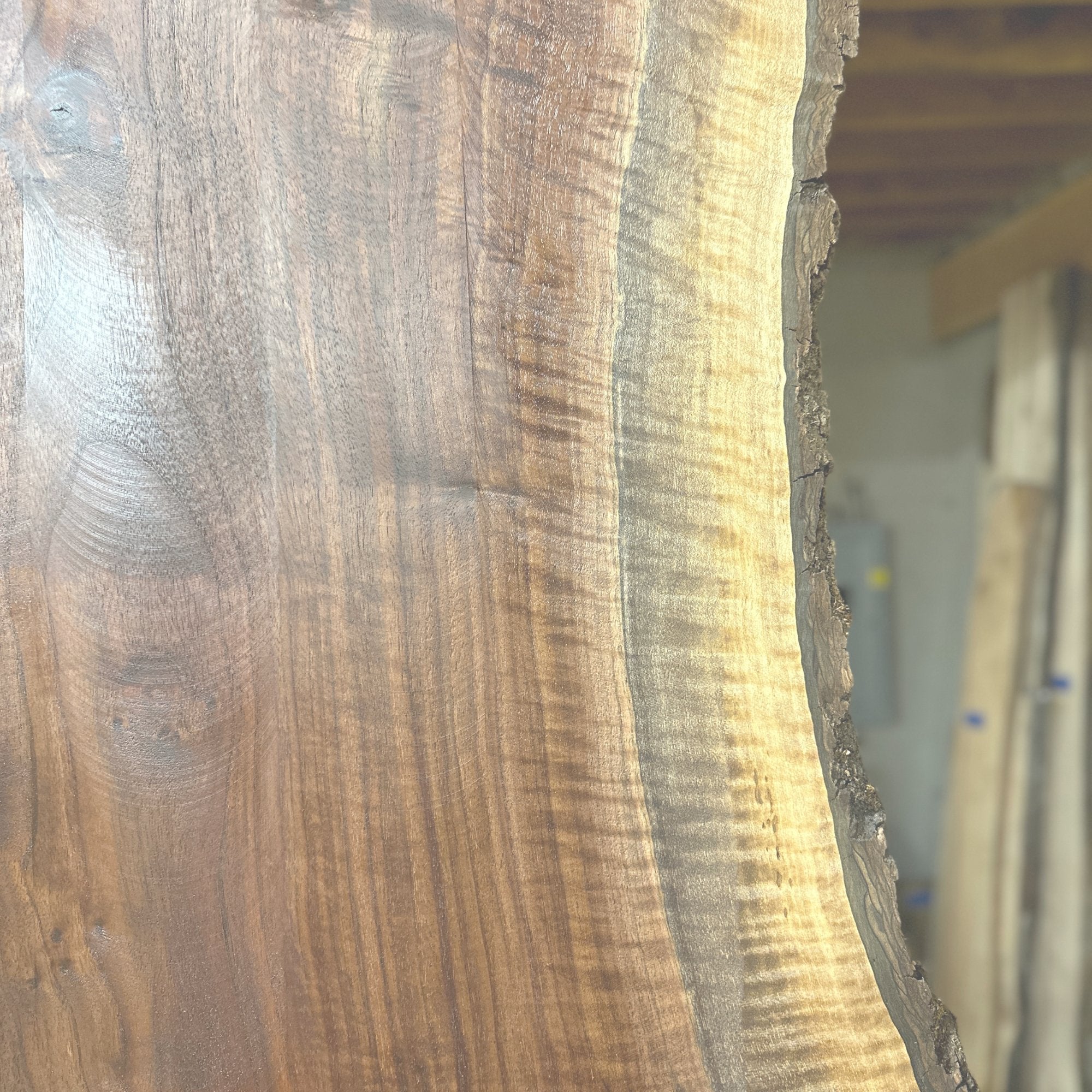 Black Walnut - Hamilton Lee Supply