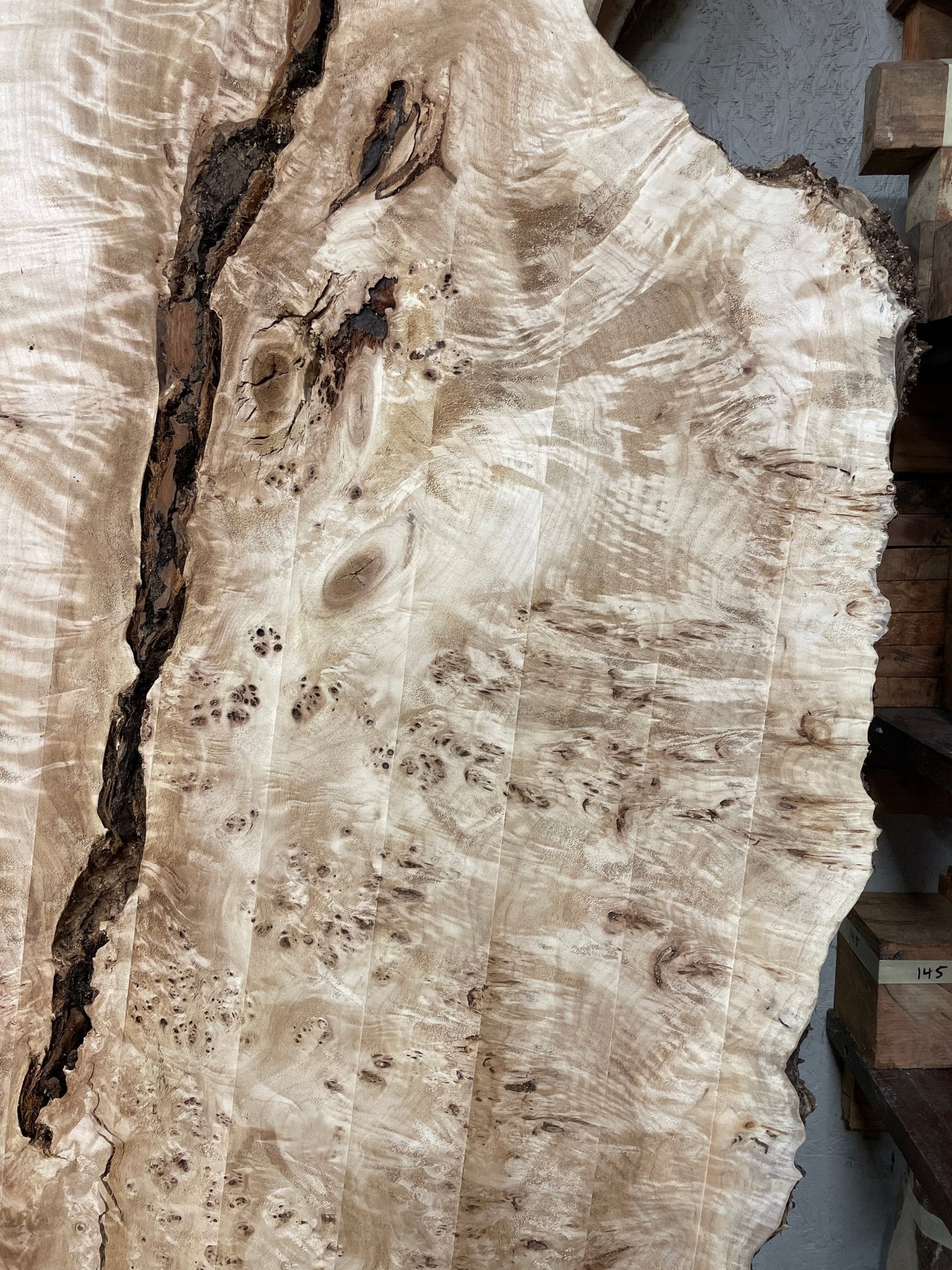 Blacktail Studio Mappa Burl - Hamilton Lee Supply