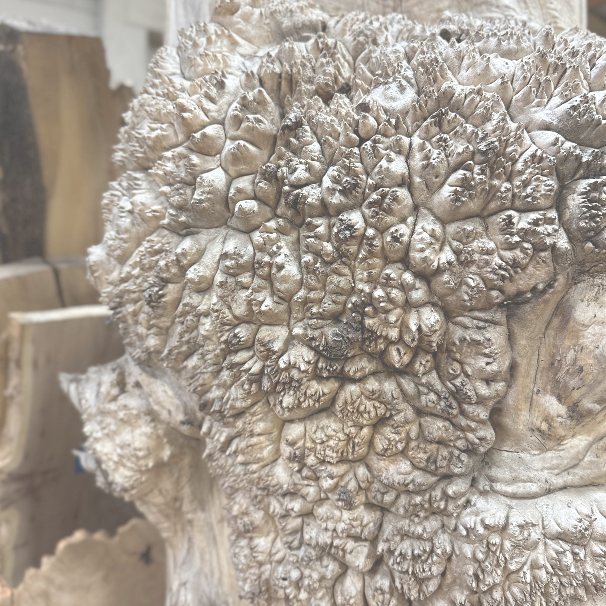 Burls - Hamilton Lee Supply