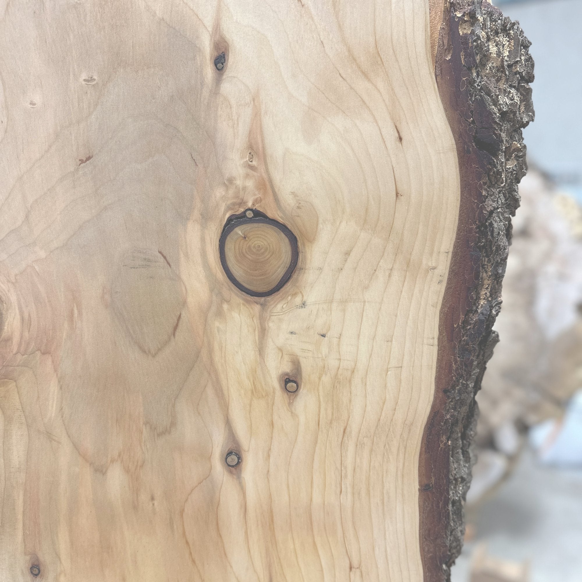 Deodar Cedar - Hamilton Lee Supply