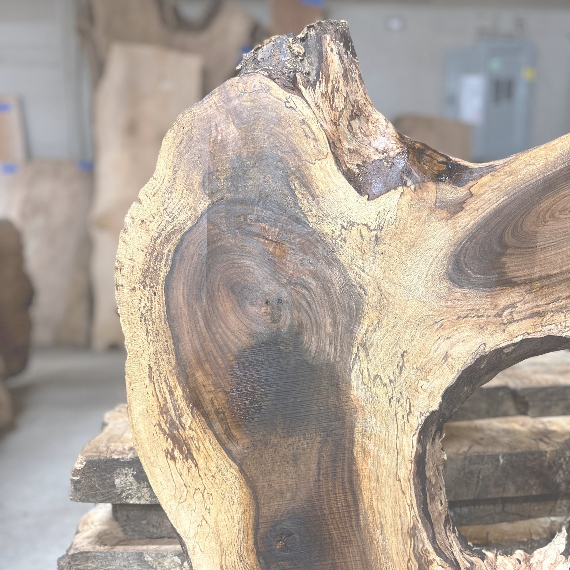 English Walnut - Hamilton Lee Supply