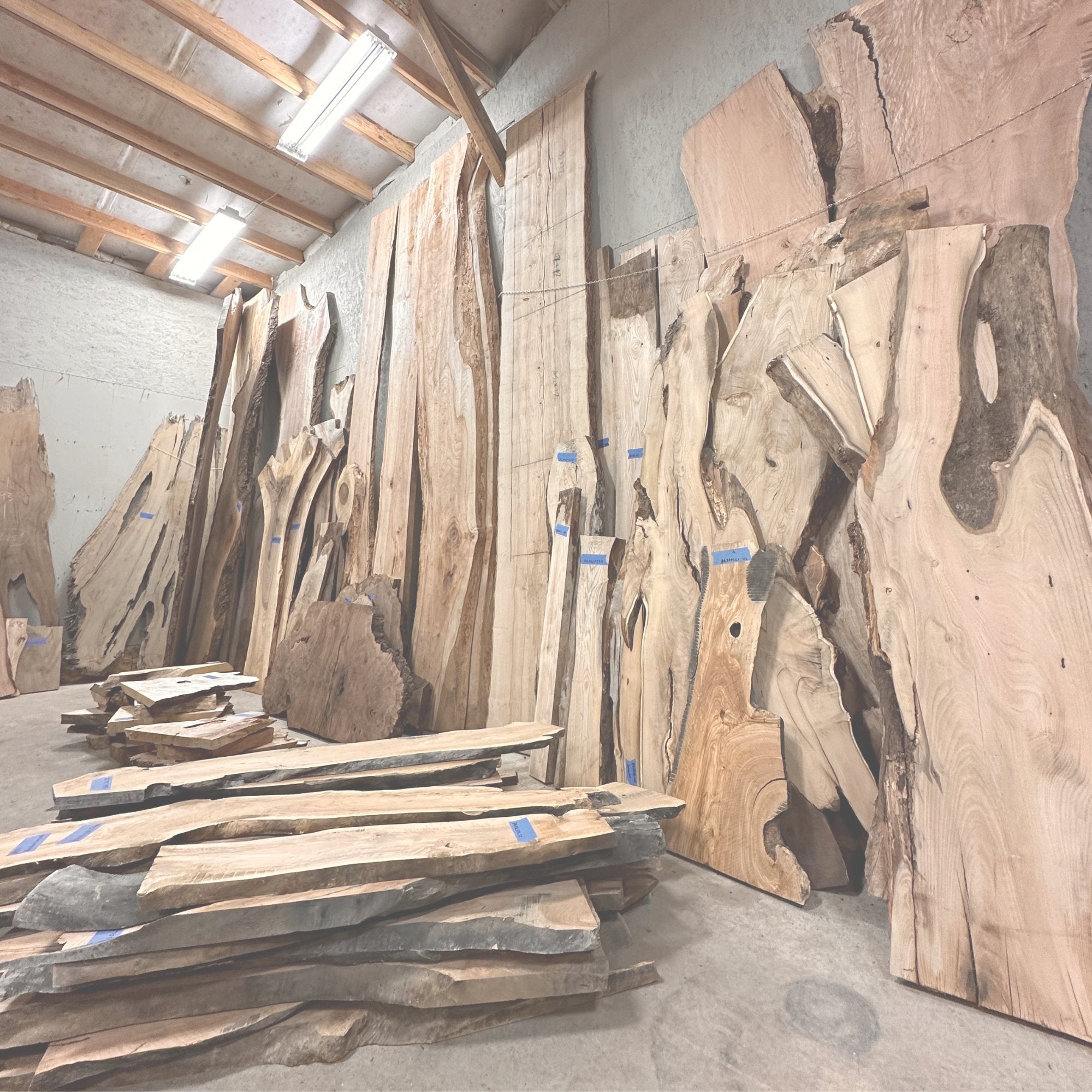 Live Edge Slabs - Hamilton Lee Supply