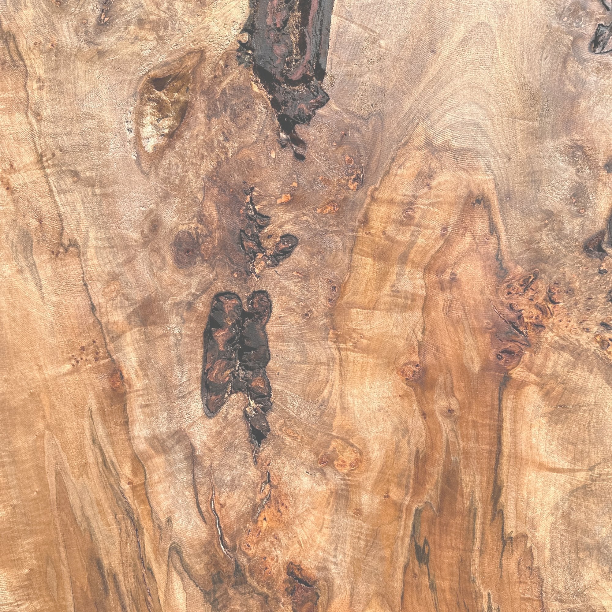 Maple, Silver - Hamilton Lee Supply