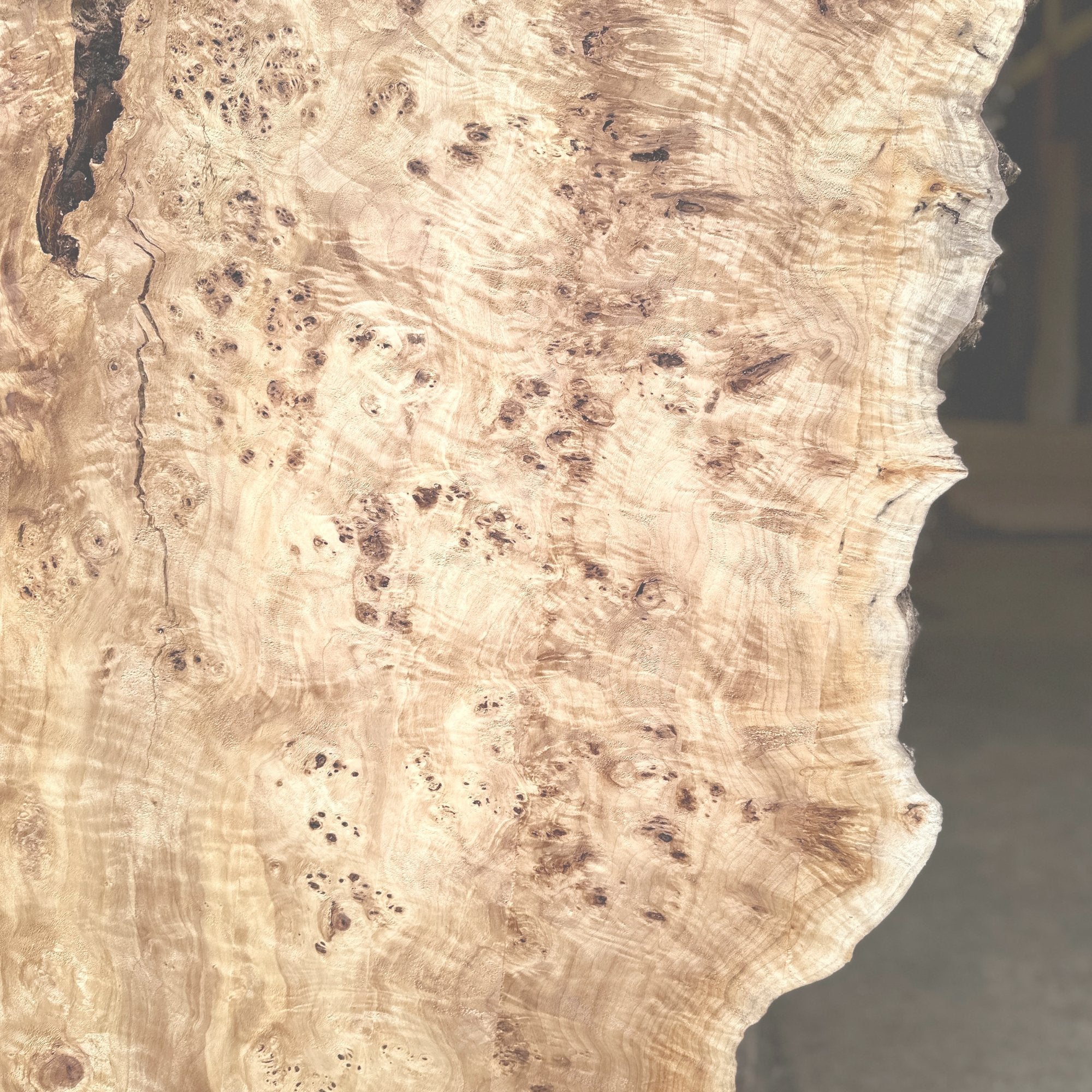 Mappa Burl - Hamilton Lee Supply